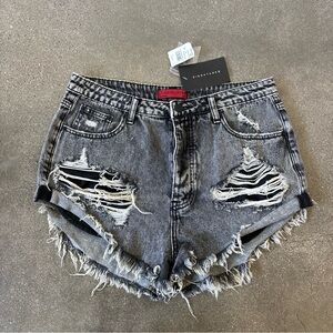 Signature 8 Women's Distressed Gray/ black Denim Shorts